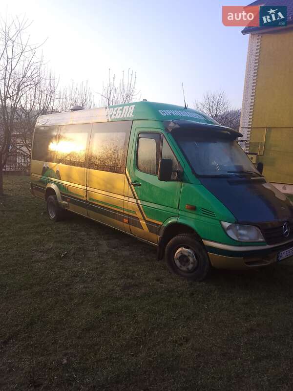 Мікроавтобус Mercedes-Benz Sprinter 2004 в Хусті