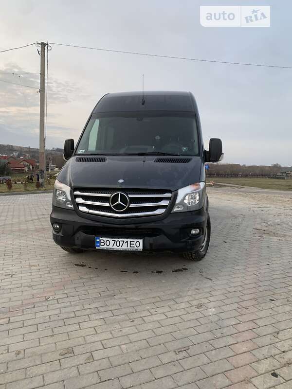 Вантажопасажирський фургон Mercedes-Benz Sprinter 2014 в Чорткові