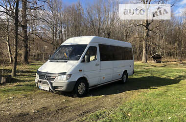 Микроавтобус Mercedes-Benz Sprinter 2006 в Стрые