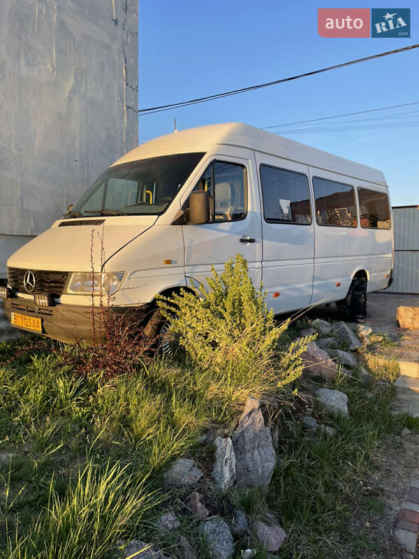 Микроавтобус Mercedes-Benz Sprinter 1999 в Кременчуге