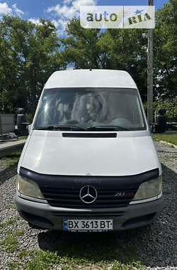 Грузопассажирский фургон Mercedes-Benz Sprinter 2001 в Теофиполе