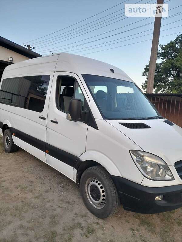 Мінівен Mercedes-Benz Sprinter 2007 в Чернівцях