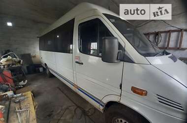 Другие автобусы Mercedes-Benz Sprinter 2003 в Кривом Роге