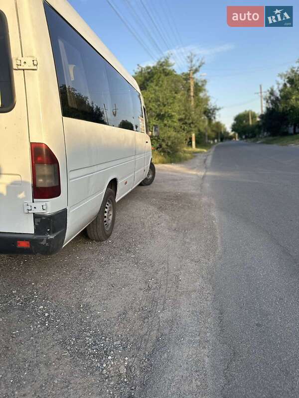 Мікроавтобус Mercedes-Benz Sprinter 2002 в Дніпрі