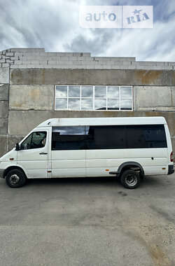 Микроавтобус Mercedes-Benz Sprinter 2004 в Киеве