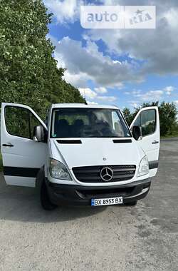 Вантажний фургон Mercedes-Benz Sprinter 2012 в Віньківцях