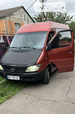 Микроавтобус Mercedes-Benz Sprinter 2001 в Полтаве