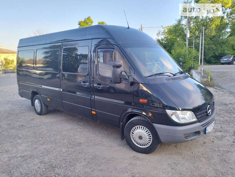 Мікроавтобус Mercedes-Benz Sprinter 2006 в Рожнятові