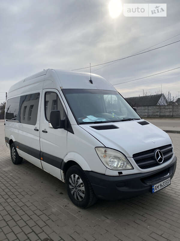 Микроавтобус Mercedes-Benz Sprinter 2011 в Житомире