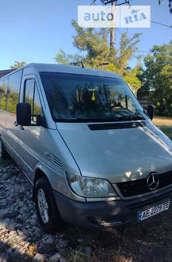 Микроавтобус Mercedes-Benz Sprinter 2003 в Кривом Роге