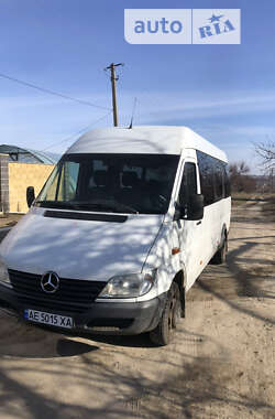 Микроавтобус Mercedes-Benz Sprinter 2002 в Никополе