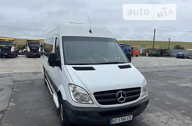 Микроавтобус Mercedes-Benz Sprinter 2011 в Тернополе