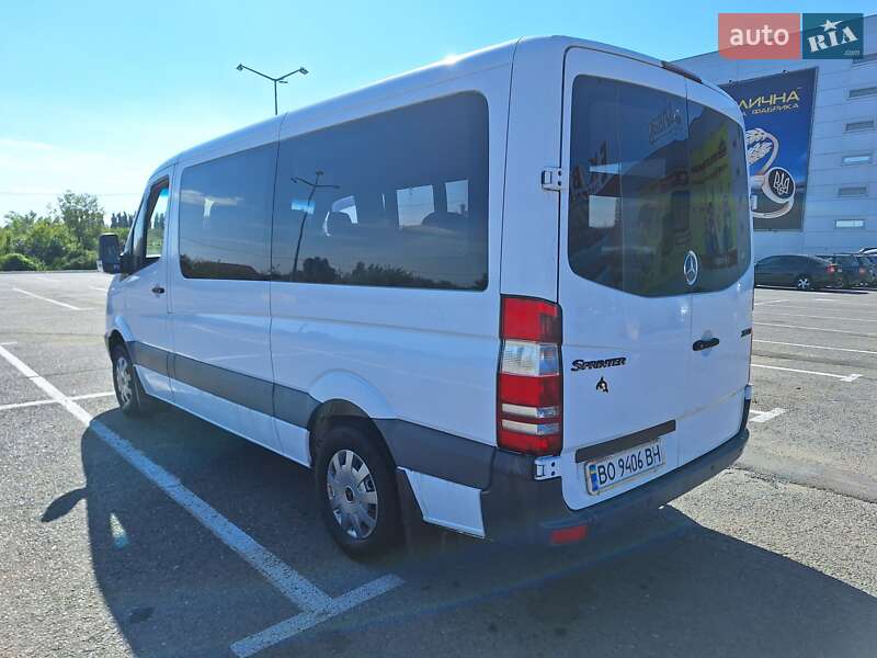 Мікроавтобус Mercedes-Benz Sprinter 2009 в Чернівцях