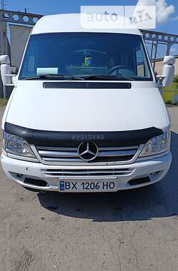 Другие грузовики Mercedes-Benz Sprinter 2005 в Городке