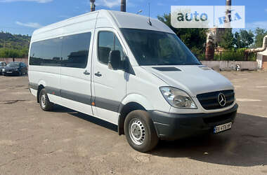 Микроавтобус Mercedes-Benz Sprinter 2013 в Кривом Роге