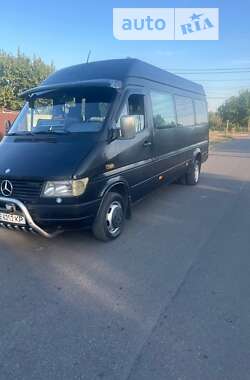 Міський автобус Mercedes-Benz Sprinter 1999 в Кривому Розі