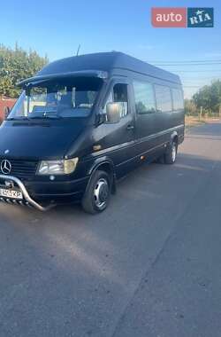 Городской автобус Mercedes-Benz Sprinter 1999 в Кривом Роге