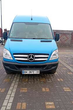 Грузопассажирский фургон Mercedes-Benz Sprinter 2009 в Рокитном