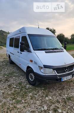 Мікроавтобус Mercedes-Benz Sprinter 2005 в Заліщиках