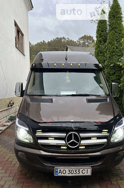 Мікроавтобус Mercedes-Benz Sprinter 2010 в Тячеві