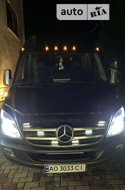 Мікроавтобус Mercedes-Benz Sprinter 2010 в Тячеві