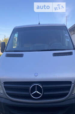 Грузопассажирский фургон Mercedes-Benz Sprinter 2008 в Снятине