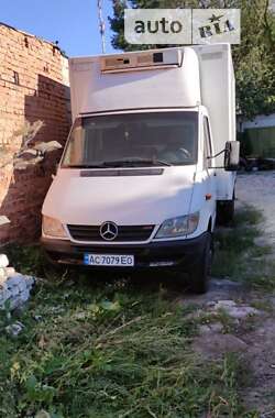 Рефрижератор Mercedes-Benz Sprinter 2004 в Владимир-Волынском