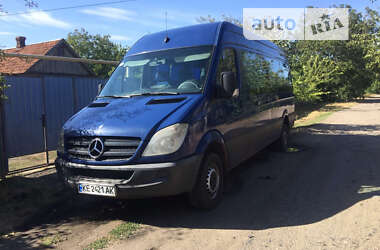 Другие автобусы Mercedes-Benz Sprinter 2010 в Кривом Роге