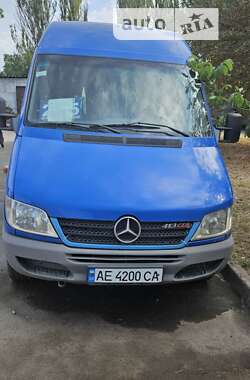 Микроавтобус Mercedes-Benz Sprinter 2002 в Кривом Роге