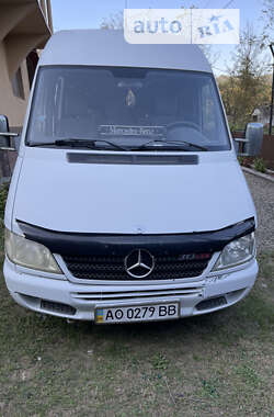 Вантажопасажирський фургон Mercedes-Benz Sprinter 2006 в Тячеві