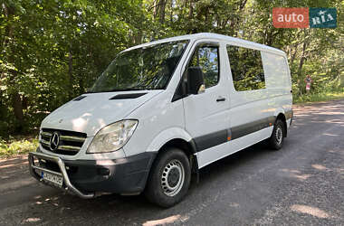 Микроавтобус Mercedes-Benz Sprinter 2007 в Христиновке