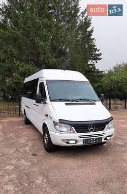 Мікроавтобус Mercedes-Benz Sprinter 2002 в Бердичеві