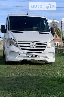 Микроавтобус Mercedes-Benz Sprinter 2007 в Камне-Каширском