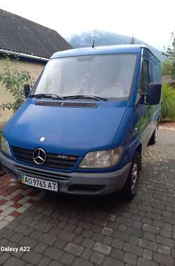 Микроавтобус Mercedes-Benz Sprinter 2002 в Тячеве