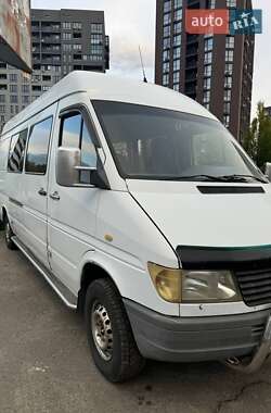 Грузопассажирский фургон Mercedes-Benz Sprinter 1999 в 
