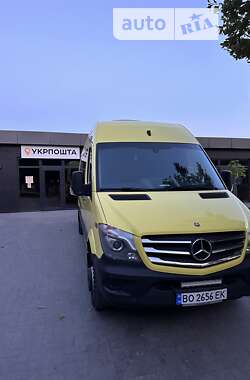 Грузопассажирский фургон Mercedes-Benz Sprinter 2016 в Тернополе