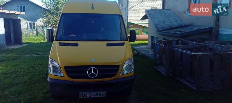 Мікроавтобус Mercedes-Benz Sprinter 2009 в Бориславі