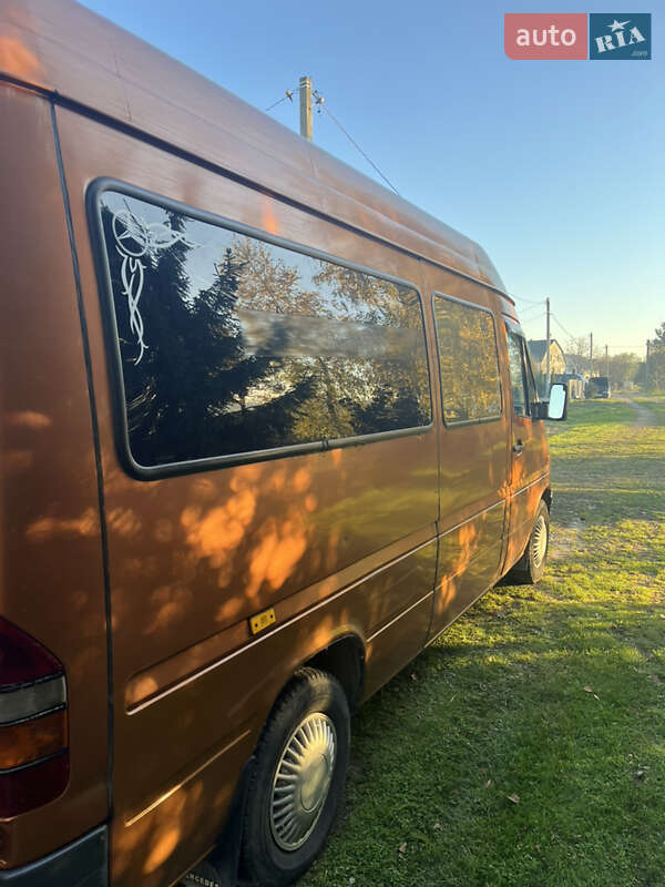Микроавтобус Mercedes-Benz Sprinter 1995 в Самборе