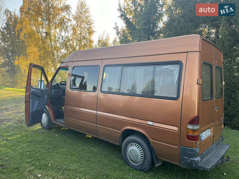 Микроавтобус Mercedes-Benz Sprinter 1995 в Самборе
