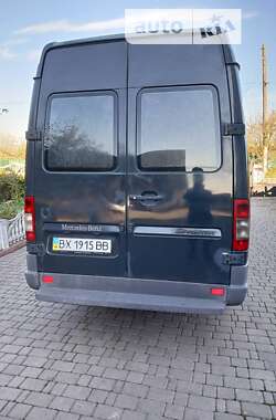 Грузопассажирский фургон Mercedes-Benz Sprinter 2005 в Теофиполе