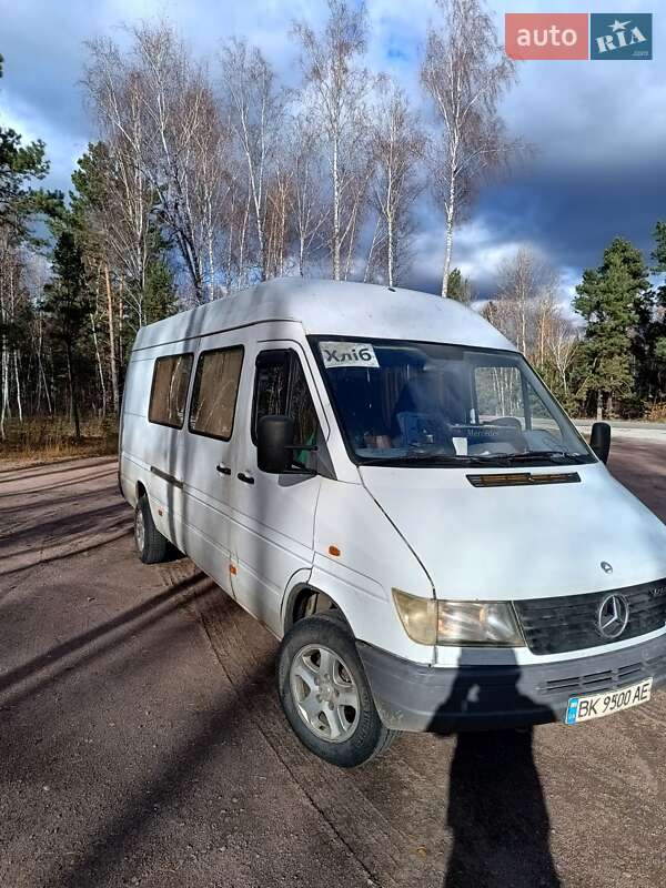 Мікроавтобус Mercedes-Benz Sprinter 1998 в Олевську