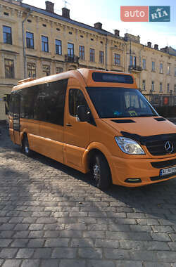 Мікроавтобус Mercedes-Benz Sprinter 2013 в Кам'янець-Подільському