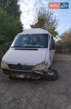 Інші вантажівки Mercedes-Benz Sprinter 2004 в Дніпрі