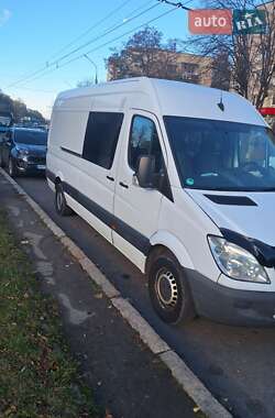Грузопассажирский фургон Mercedes-Benz Sprinter 2010 в 