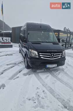 Мікроавтобус Mercedes-Benz Sprinter 2009 в Тячеві