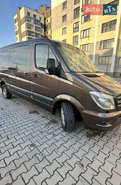 Микроавтобус Mercedes-Benz Sprinter 2014 в Ивано-Франковске