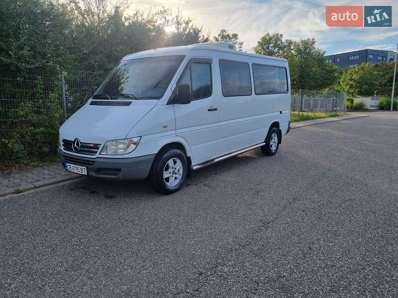 Вантажопасажирський фургон Mercedes-Benz Sprinter 2002 в Глибокій