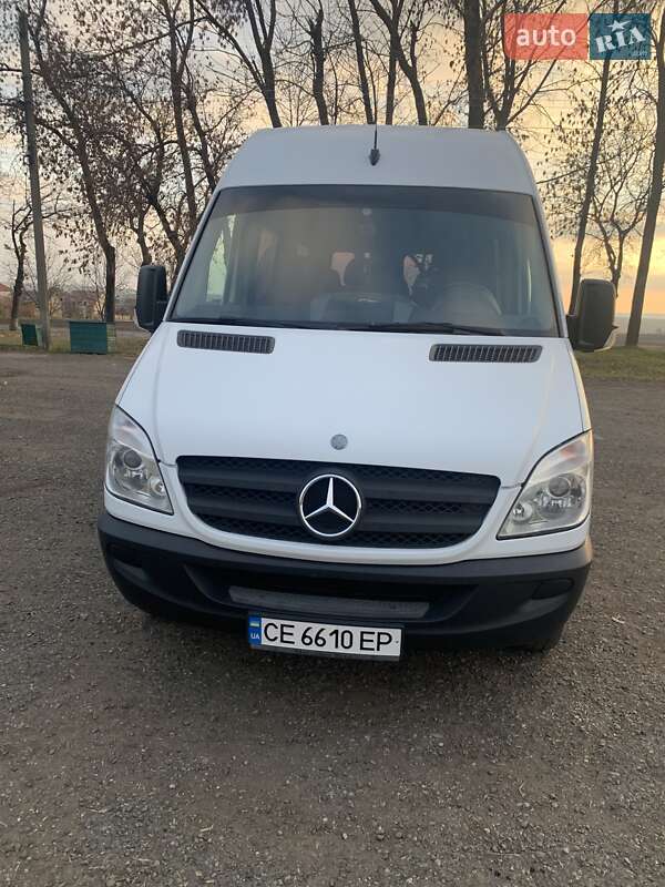 Микроавтобус Mercedes-Benz Sprinter 2010 в 