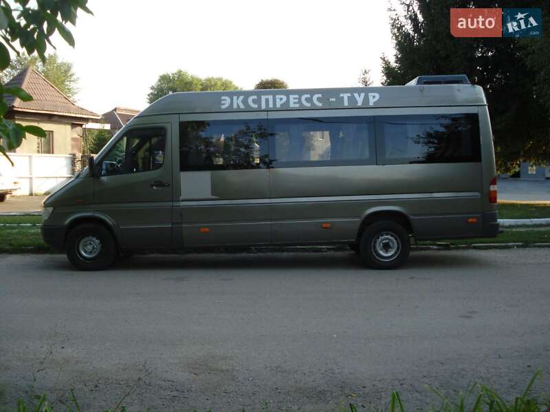 Другие автобусы Mercedes-Benz Sprinter 1995 в Кропивницком