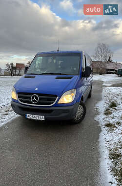 Інші автобуси Mercedes-Benz Sprinter 2008 в Синевирі